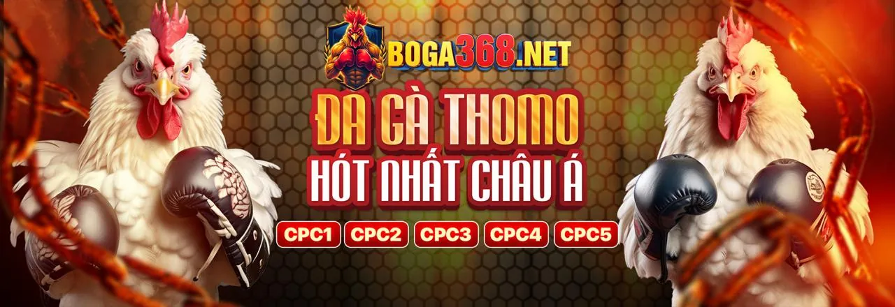 Đá gà kịch tính tại trường gà ano88